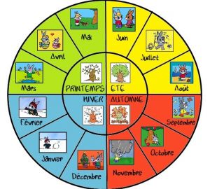 Mois et les saisons de l'année