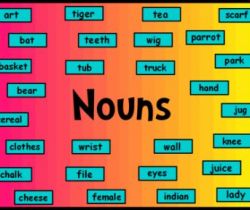 Nouns 1 (Name, Place, Animal, Thing)