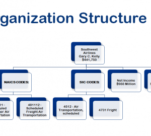 Organisational Structures and Common Job Titles