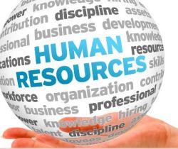 L'origine des ressources humaines