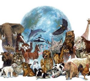 In the animal world