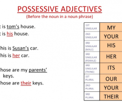 Mon coffre au trésor (adjectifs possessifs)