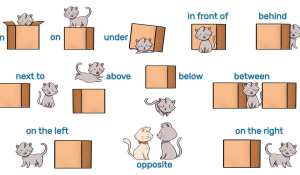 Prepositions Of Place