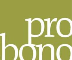 Pro bono-not just for lawyers