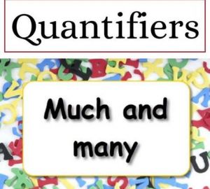 Cuantificador: Cuánto y Cuántos