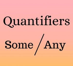 Quantifiers 3