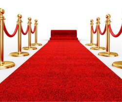 The Red Carpet - A Glimpse of International Film Awards