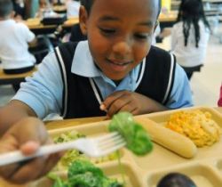 School bell (Recess-breaks,cafeteria,healthy food,etc...)