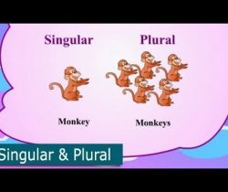 Eins und viele (Singular, Plural)