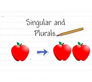 Singular y plural