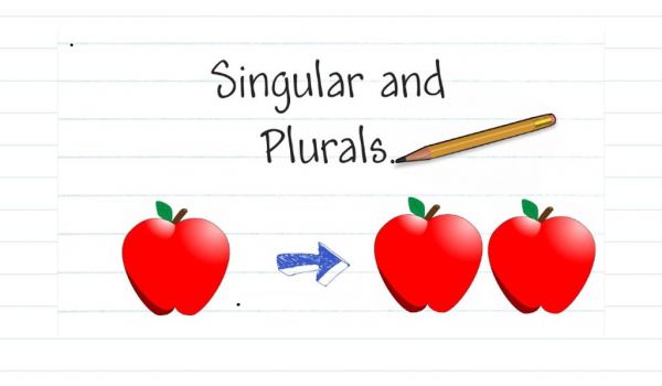 Singular And Plural