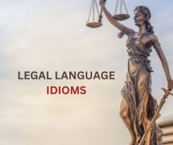Speaking the Legal Language: Exploring Idioms Related to Law