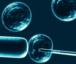 Stem cell research