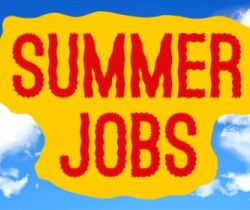 Summer Time (Types of jobs during summer vacations - Part/Full-time, Internship, assistant, etc.)