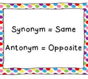 Synonyms and Antonyms