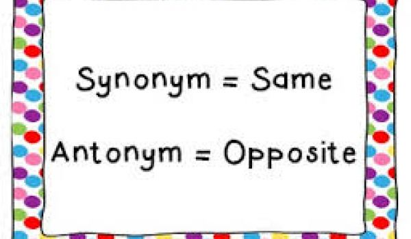 Synonyms and Antonyms