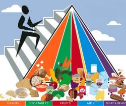 La piramide alimentare (Avverbi)