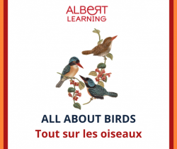 All about birds