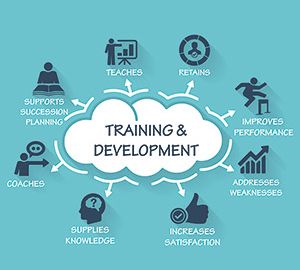 Ausbildung und Entwicklung