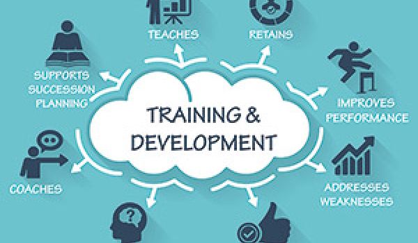 Тренировка и развитие