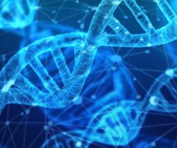 Tratamiento mediante Terapia Génica (ADN)