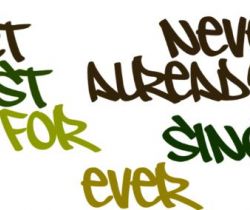 Usage of 'never', 'already', 'however', 'since' & 'for'