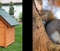 Où les animaux vivent et ce qu’ils mangent ?