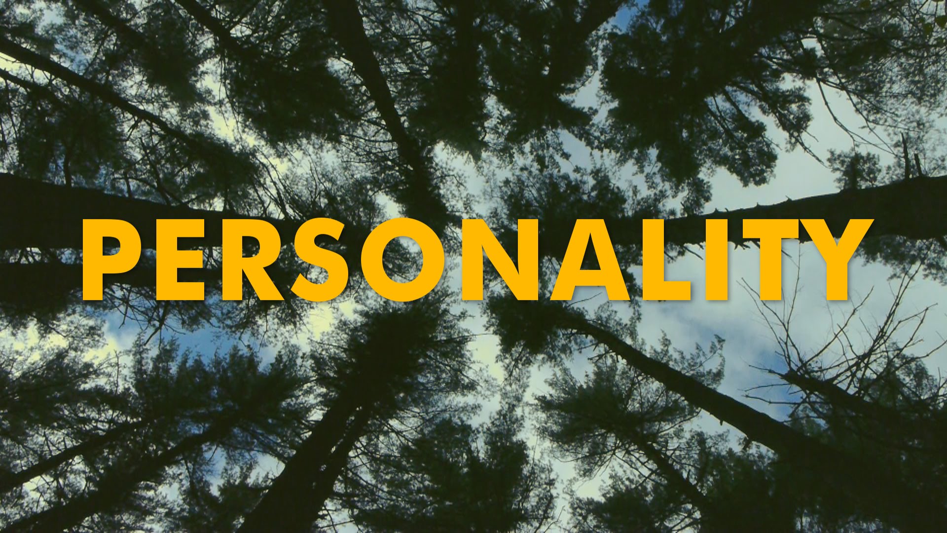 Online Sessions : How is your Personality? | Online ...