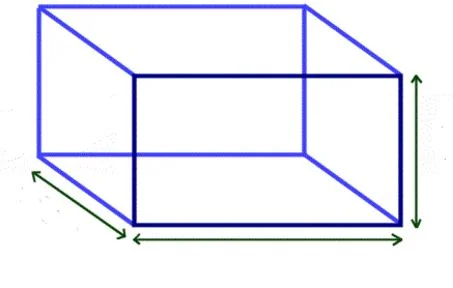 20000-leagues-under-the-sea-measurements