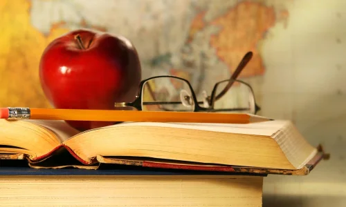 animate-and-inanimate-nouns