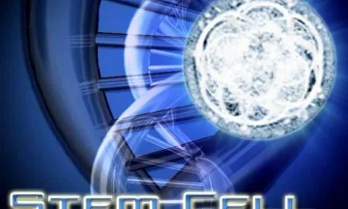 recherche-sur-les-cellules-souches