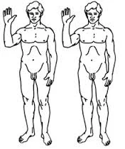 die-erste-schopfung-menschlicher-embryonaler-stammzellen-durch-klonen