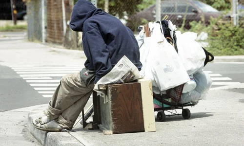el-problema-de-los-vagabundos