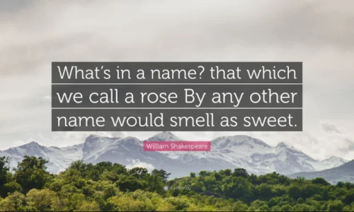 ren-he-qi-ta-ming-zi-de-mei-gui-geng-duo-cheng-yu-he-duan-yu