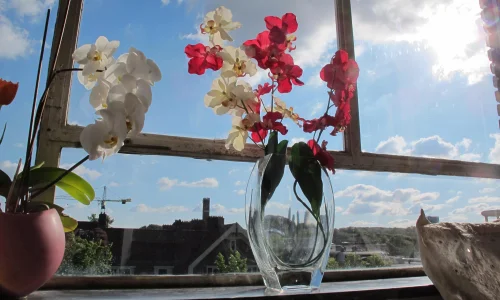 zhi-zuo-deairbnb-shi-yan-zun-shou-ba-li-jie-dai-shui