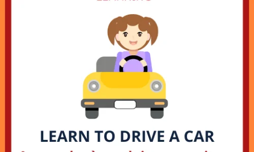 impara-a-guidare-un-auto