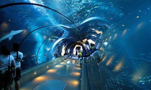 una-visita-all-acquario-implementare-parte-1-e-ii