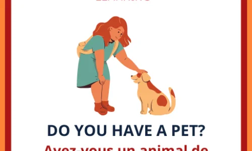 hai-un-animale-domestico