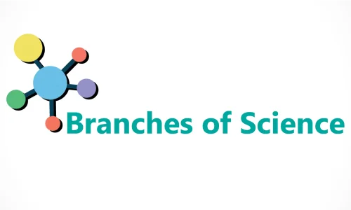 branches-de-la-science