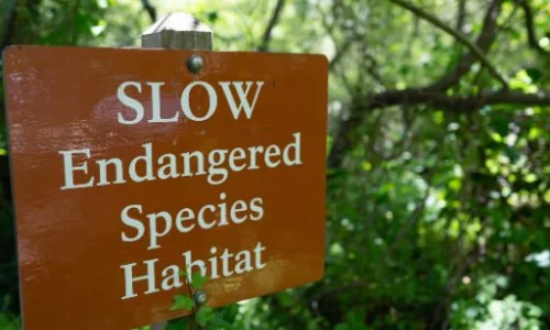 protege-aires-tourisme