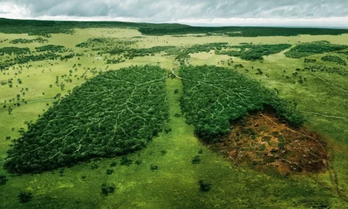 environmental-issues