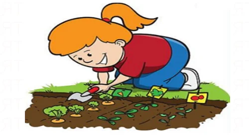 jardineria-consejos-y-beneficios