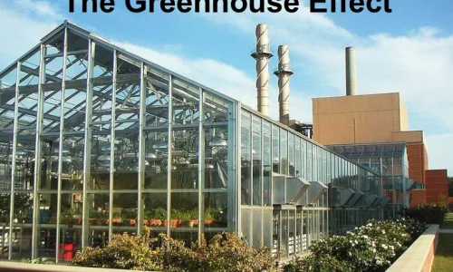 wen-shi-qi-ti-xiao-ying