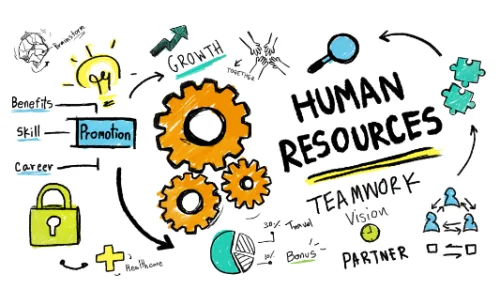 comment-les-ressources-humaines-fonctionnent-dans-votre-organisation