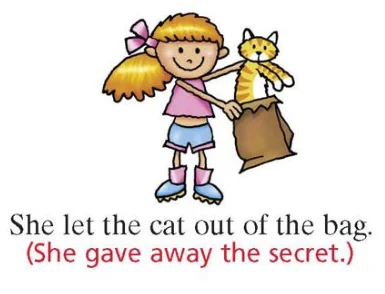 der-katze-aus-dem-beutel-redewendungen