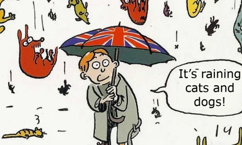 lingue-e-frasi-parte-iii