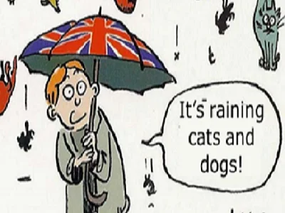 idiom-i-fraz-cast-iii