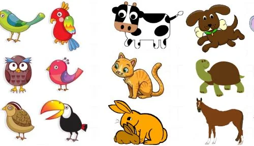 wenn-ich-mich-traf-tier-und-vogelgerausche