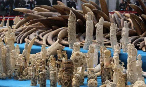 commercio-legale-e-il-suo-impatto