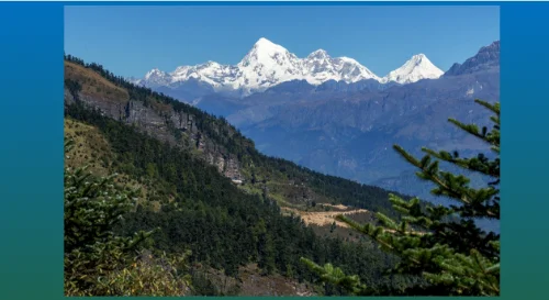 v-dikoj-prirode-vzglad-na-dikuu-prirl